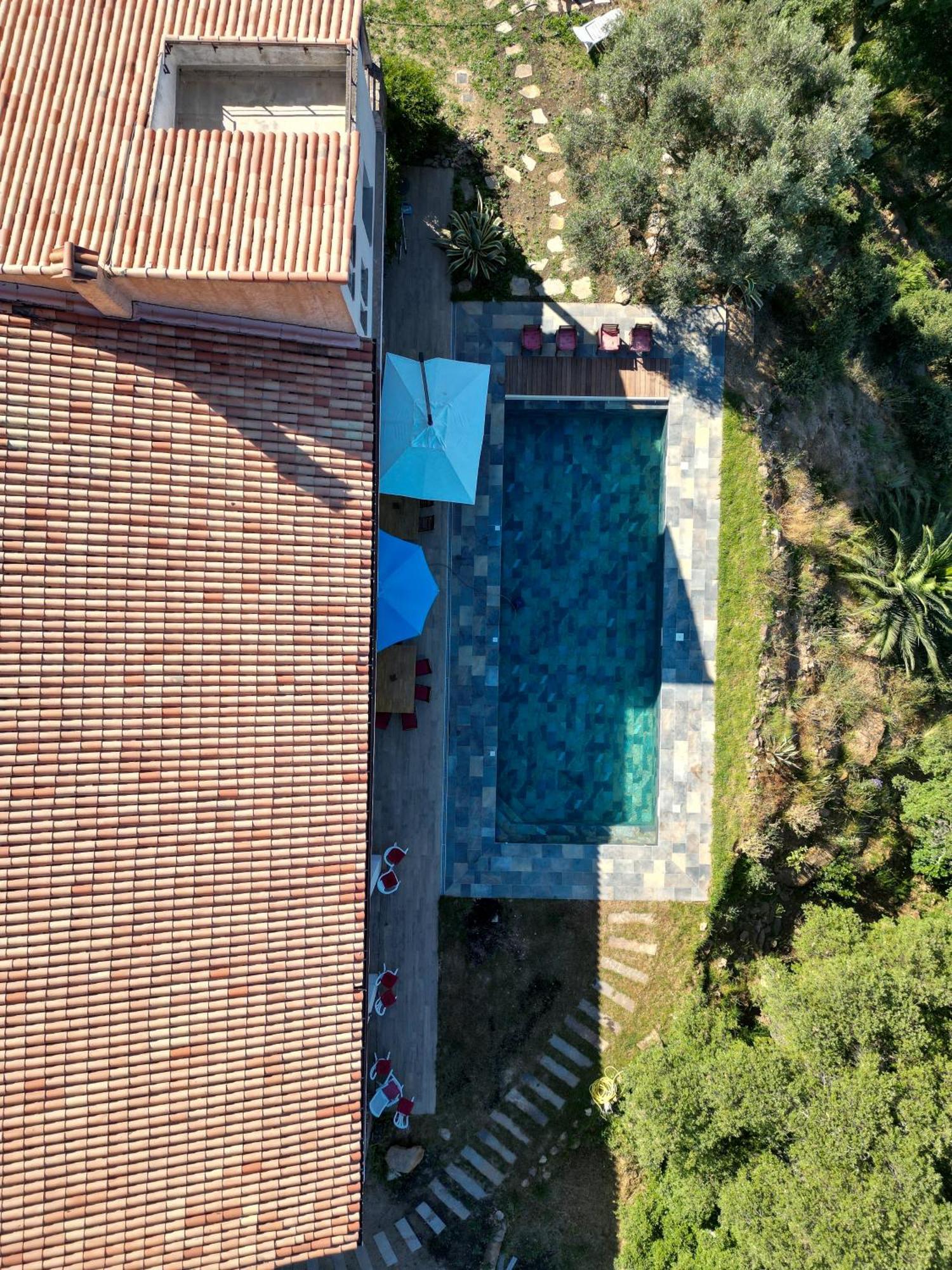 Grande Villa 750 M2 Le Mas Des Chenes Bormes-les-Mimosas Extérieur photo