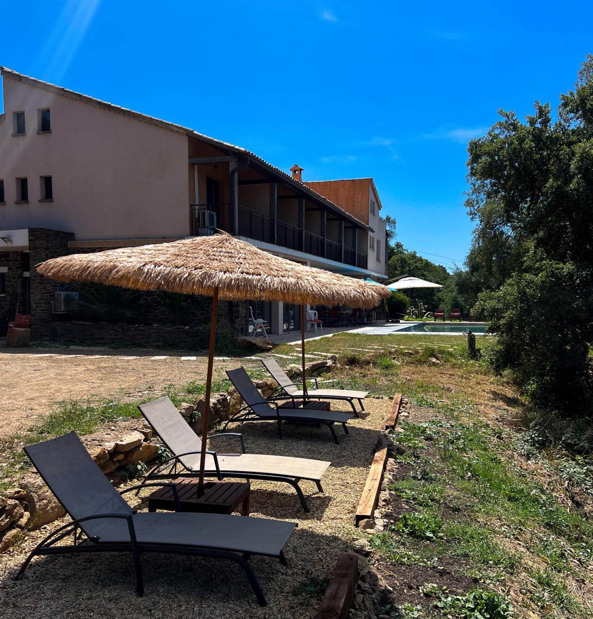 Grande Villa 750 M2 Le Mas Des Chenes Bormes-les-Mimosas Extérieur photo